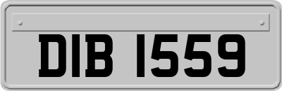 DIB1559