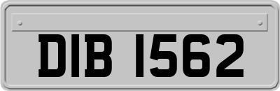 DIB1562
