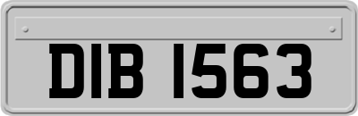 DIB1563