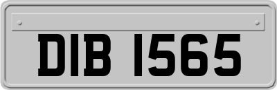 DIB1565