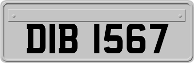 DIB1567