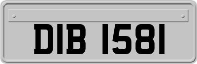 DIB1581