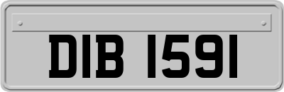 DIB1591