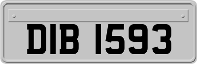 DIB1593