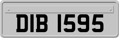 DIB1595