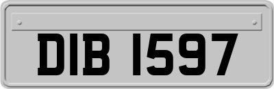 DIB1597