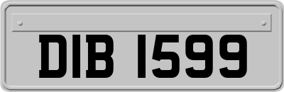 DIB1599