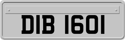 DIB1601