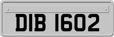 DIB1602