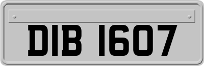 DIB1607