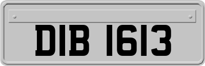 DIB1613