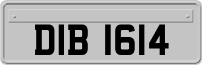 DIB1614