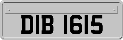 DIB1615
