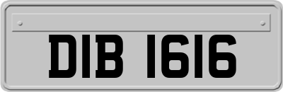 DIB1616