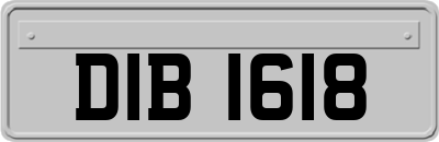 DIB1618