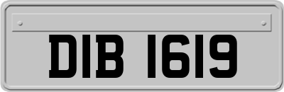 DIB1619