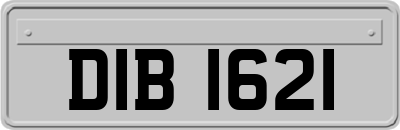 DIB1621