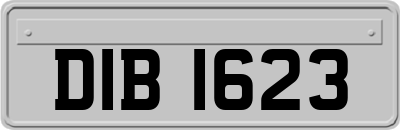 DIB1623