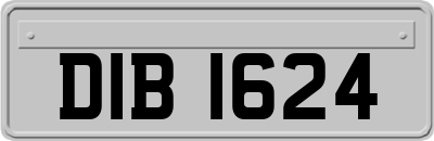 DIB1624