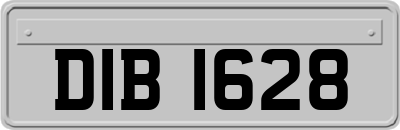 DIB1628