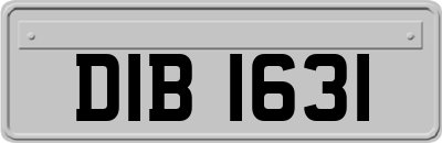 DIB1631