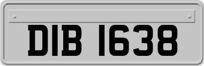 DIB1638