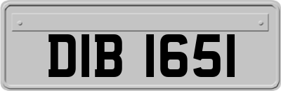 DIB1651