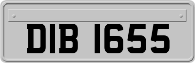 DIB1655