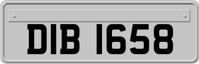 DIB1658