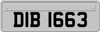 DIB1663