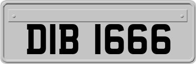 DIB1666