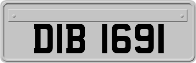 DIB1691