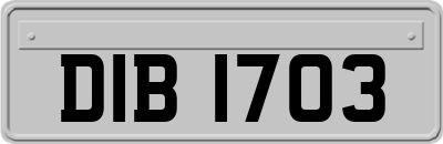 DIB1703