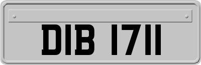 DIB1711