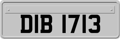 DIB1713