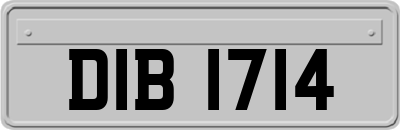 DIB1714