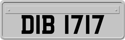 DIB1717