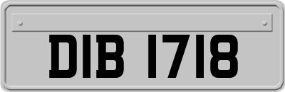 DIB1718