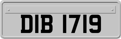 DIB1719