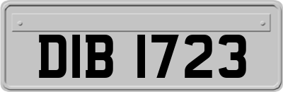 DIB1723