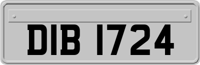 DIB1724
