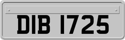 DIB1725