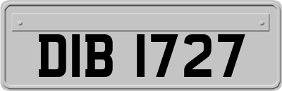 DIB1727