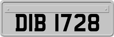 DIB1728