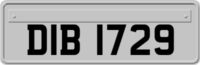 DIB1729