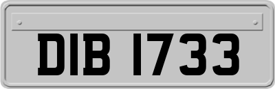 DIB1733
