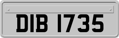 DIB1735