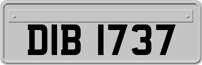 DIB1737