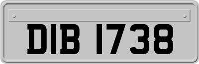 DIB1738