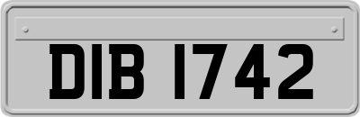 DIB1742